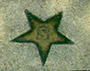 Siverd bronze star