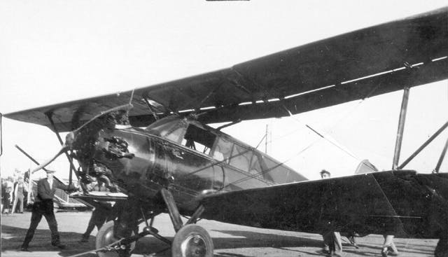 Curtiss Tanager