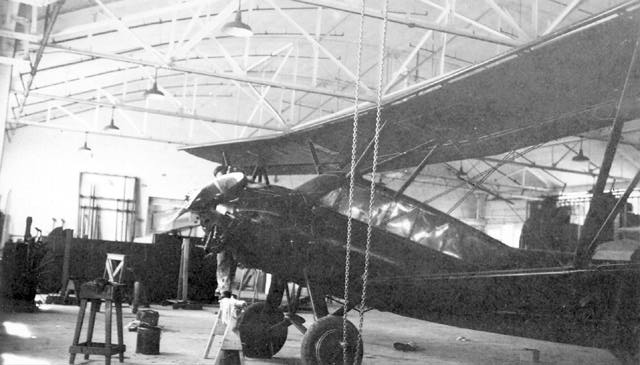 Curtiss Tanager